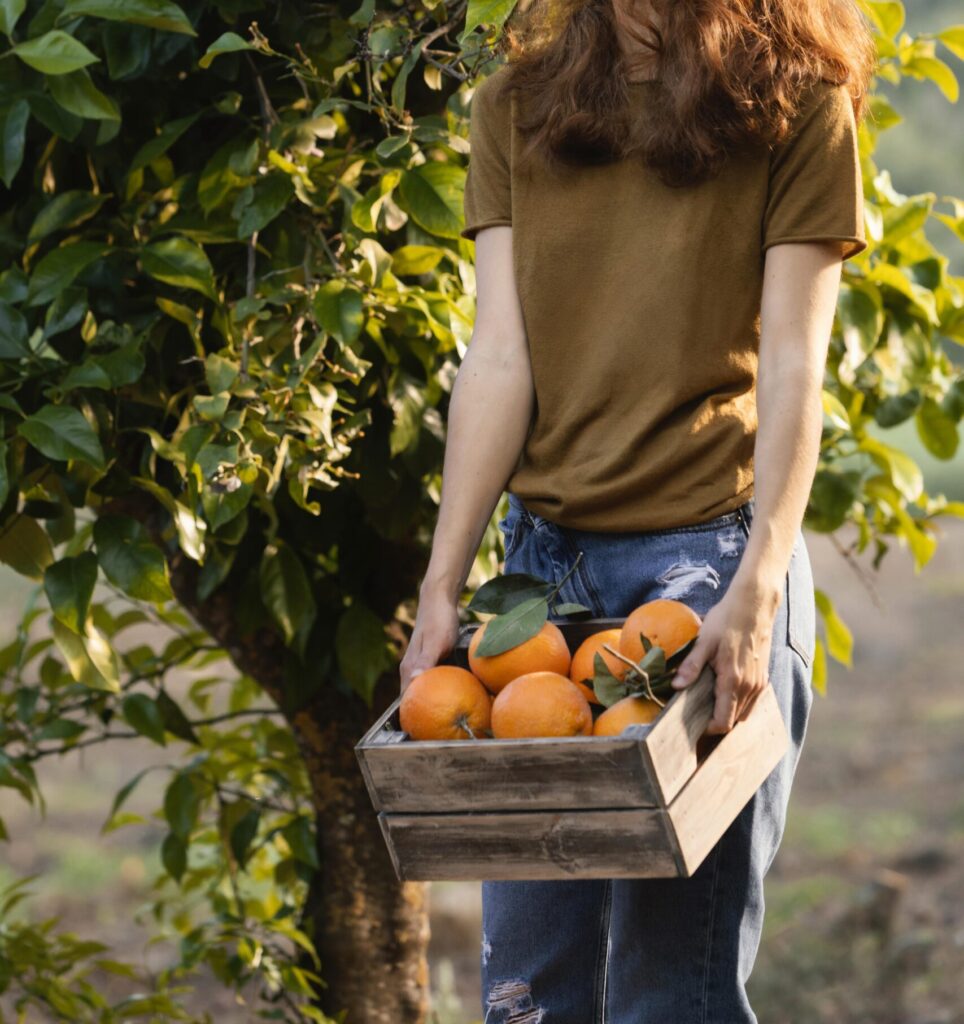 mujer-sosteniendo-una-caja-con-naranjas